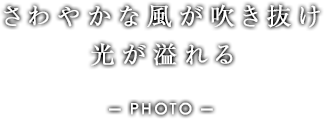 さわやかな風が吹き抜け、光が溢れる