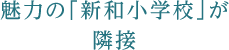 魅力の「新和小学校」が隣接